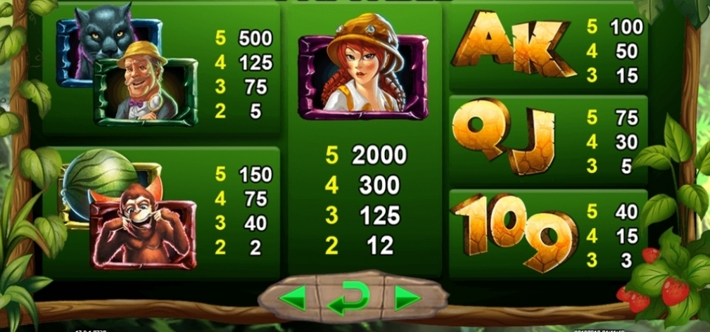 Jungle King Slot